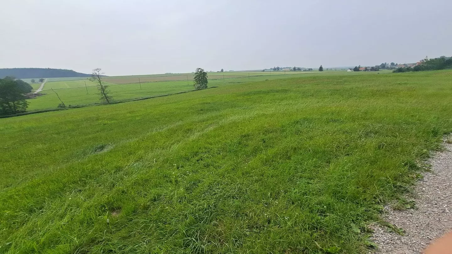Landwirtschaftliche Fläche in Haselbach
