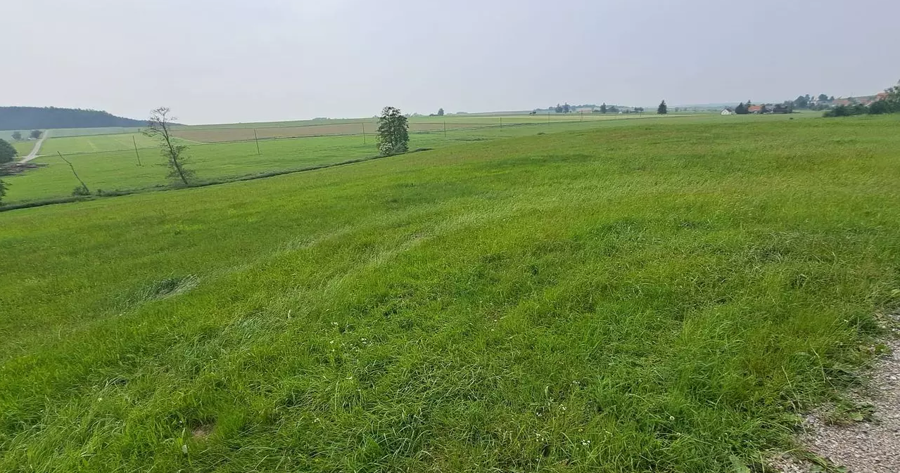 Laden - Mittelneufach